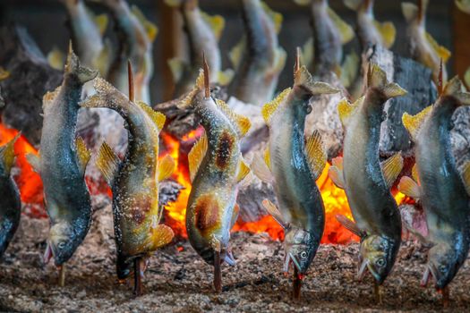 Fish Ayu with salt being charcoal broiled in Tochigi JAPAN.