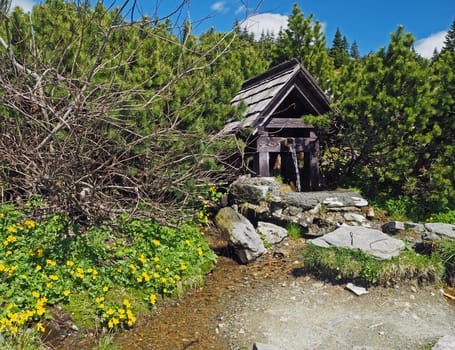 mountain fountain well in pine scrubs in Jeseniky mountain Czech Republic in summer with yellow marigolds flowers
