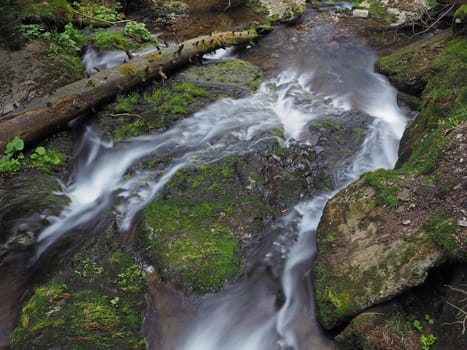 frozen water forest stream with a log and mossed stones and grass