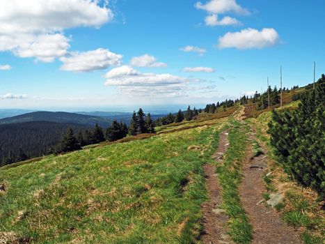 footpath in Jeseniky mountain grass, tree and blue sky and white clouds in Czech Republic