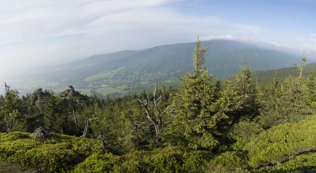Jizera Mountains (jizerske hory) wide panorama, view from hill Frydlantske cimburi, Friedlander Zinne with lush green spruce forest and blue sky, white clouds background, springtime