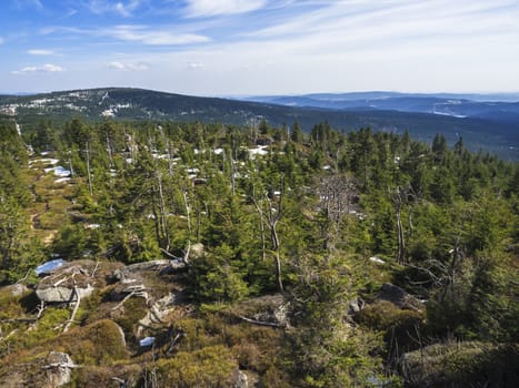 landscape of Jizera Mountains jizerske hory, view from peak of holubnik mountain with lush green spruce forest, trees, hills and fields springtime with snow remains, blue sky background.