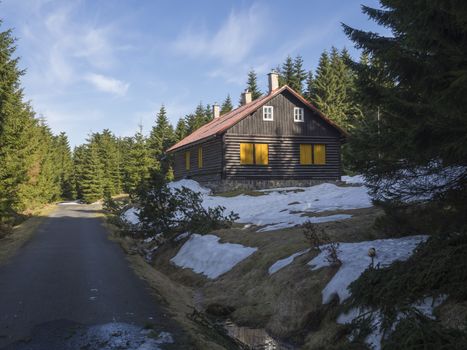 Timbered cottage, log cabin next to asphalt road in Jizerske hory mountain in spring with lush green spruce tree forest and snow at sunny day, blue sky background.