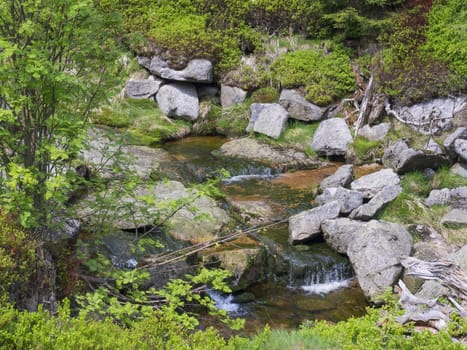 spring mountain stream Bila Smeda with stones and boulders, grass nad moss, green bushes in Jizera mountain Czech republic