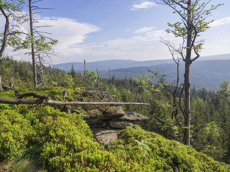 Jizera Mountains (jizerske hory) panorama, view from hill Frydlantske cimburi, Friedlander Zinne with lush green spruce forest and blue sky, white clouds background, springtime