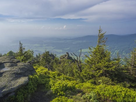 Jizera Mountains (jizerske hory) panorama, view from hill Frydlantske cimburi, Friedlander Zinne with lush green spruce forest and blue sky, white clouds background, springtime