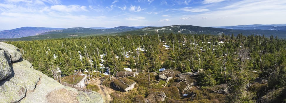 wide panoramic landscape of Jizera Mountains jizerske hory, view from peak of holubnik mountain with lush green spruce forest, trees, hills and fields springtime with snow remains, blue sky background.