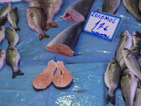 traditional fish market at Corfu town Kerkyra in greece. with fresh salmon an different kind of mediterranean fresh fishes and for sale on counter covered blue plastic.
