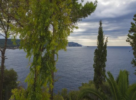 Green tropical vegetation palm and trees with view on Paleokastritsa bay, summer cloudy sky, Corfu, Kerkyra, Greece.