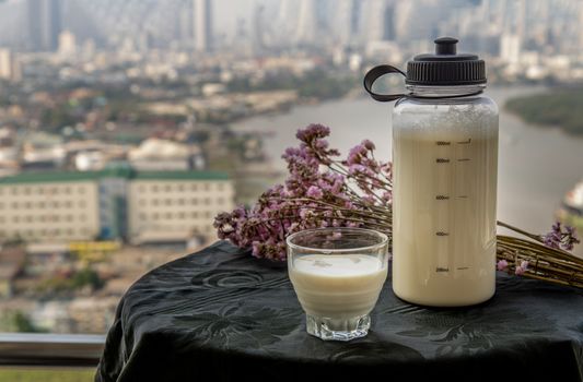 Refreshing and enjoy with a cup of homemade Soy milk in the morning. Healthy drink, Alternative milk concept. Selective focus, Copy space.