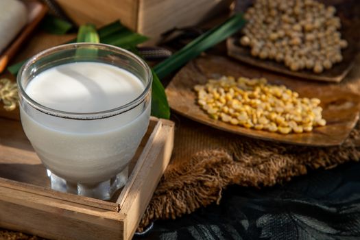 Soy products : A glass of Homemade soy milk and grains (soybeans)  on wooden tray with lighting in the morning. Alternative milk concept, Selective focus.