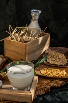 Soy products : A glass of Homemade soy milk and grains (soybeans)  on wooden tray with lighting in the morning. Alternative milk concept, Selective focus.