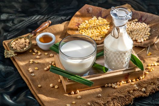 Soy products : A glass of Homemade soy milk and grains (soybeans) in wooden tray Served with brown sugar and honey with lighting in the morning. Alternative milk concept, Selective focus, Copy space.