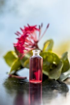 Red colored pentas flower or Egyptian Star Flower or jasmine on wooden surface with its extracted beneficial floral essence or essential oil in small transparent glass bottle.