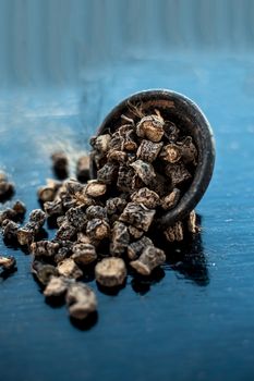 Popular Indian &amp; Asian ayurvedic organic herb musli or Chlorophytum borivilianum or Curculigo orchioides or kali moosli in a clay on wooden surface.