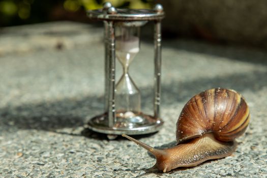 Dark achatina snail with Dark shell crawling on the Stone floor near Hourglass. Deadline concept and Slow current time.