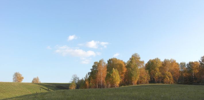 Beautiful autumn landscape with birches on the hill