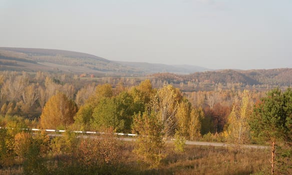 Beautiful autumn landscape with trees on the hill