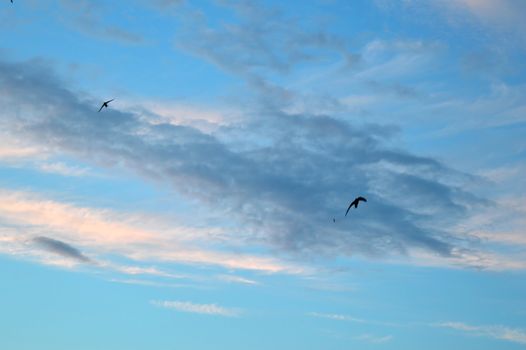 Beautiful eveing sky with clouds, air nature