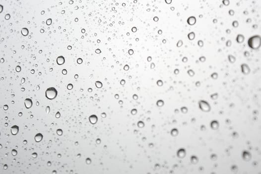 Drops of rain on the window, shallow dof.