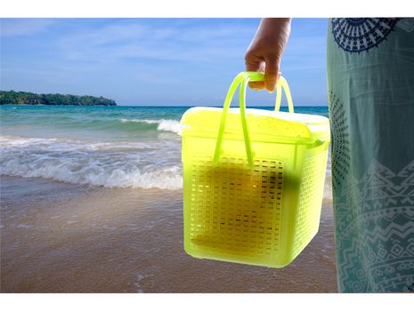 Woman hand holding plastic box green container with fruits for transportation and seaside background. 