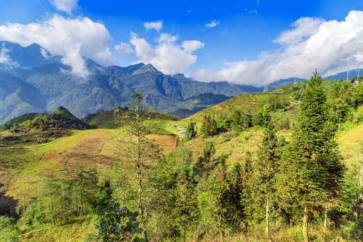 The curving terraces hands of nature, creating a splendid natural painting SaPa VietNam Lao Cai