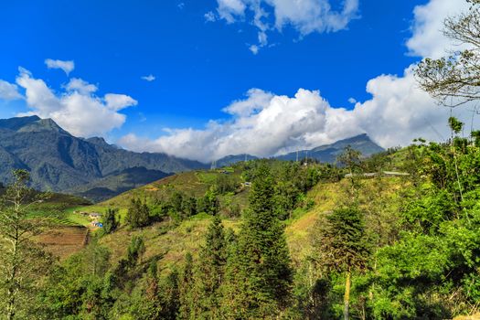 The curving terraces hands of nature, creating a splendid natural painting SaPa VietNam Lao Cai