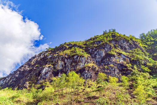 Rice fields on terraced Fansipan mountain in Sapa, Vietnam. Nature landscape background.