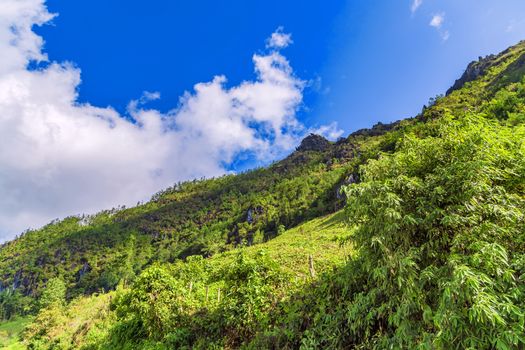 landscape terraces green grass blue sky cloud of Sapa, north Vietnam.