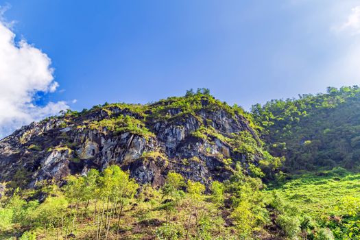 Rice fields on terraced Fansipan mountain in Sapa, Vietnam. Nature landscape background.