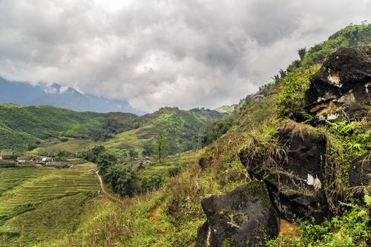 Rice field terraces Mountain paddy view in the clouds village Sapa, Lao Cai Province, Vietnam.