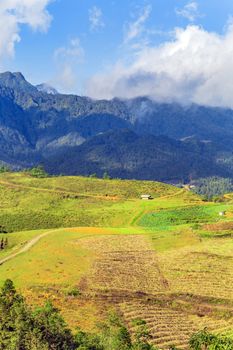 Vietnam Rice fields. Vietnam landscapes. Sapa Vietnam Lao Cai.