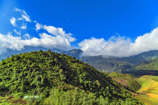 mountain in Indochina landscape terraces green grass blue sky cloud of Sapa, north Vietnam.