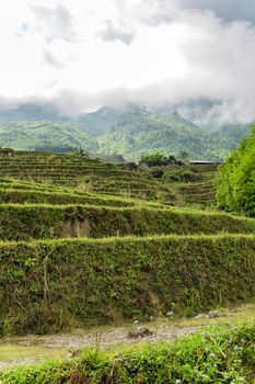 Rice field. Old village in SAPA the travel destination at Northwest Vietnam.