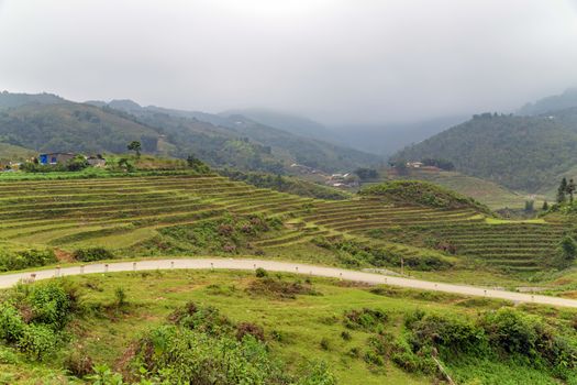 Rice field terraces. Mountain view in the clouds. Sapa, Lao Cai Province, north-west Vietnam.