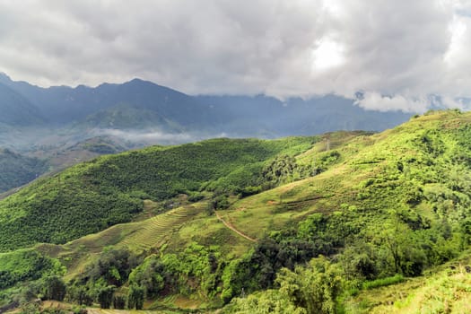 Paddy green rice terrace Sapa District, Lao Cai Province, Vietnam. Sa Pa