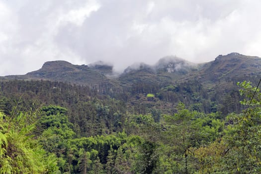 Mountain view top of rocky with misty valley landscape green hill