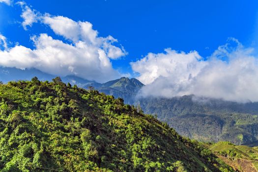 mountain in Indochina landscape terraces green grass blue sky cloud of Sapa, north Vietnam.