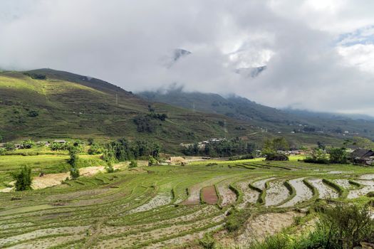 Rice field. Old village in SAPA the travel destination at Northwest Vietnam.