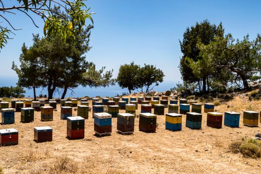 Colorful wooden beehives among the trees facing the sea in the mountains of Crete