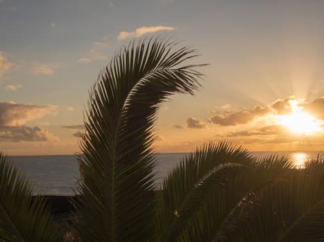 Beautiful orange sunrise over calm ocean with silhouette of palm tree leaves at La Palma, Canary Island