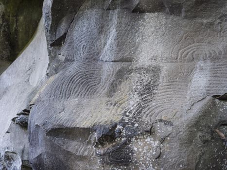 Spiral petroglyph carved in stone in La Zarza nature park archeological site in Laurel forest, laurisilva in the northern part of La Palma, Canary Islands, Spain