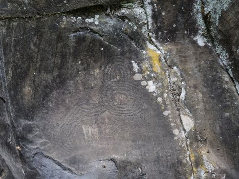 Spiral petroglyph carved in stone in La Zarza nature park archeological site in Laurel forest, laurisilva in the northern part of La Palma, Canary Islands, Spain