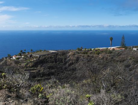 Rural subtropical landscape with palm trees, farm house and sea horizon. Blue sky background, La Palma, Canary Islands, Spain.