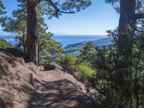 Lanscape od hiking trail Barranco de la Madera from Las Nieves with pine tree forest and path along ravine with steep green mountains, La Palma Island, Canary Islands, Spain.
