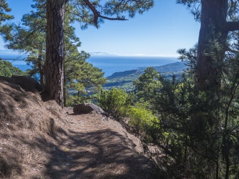 Lanscape od hiking trail Barranco de la Madera from Las Nieves with pine tree forest and path along ravine with steep green mountains, La Palma Island, Canary Islands, Spain.