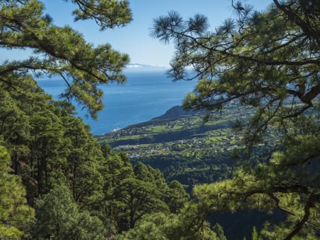 View on beautiful lush lanscape from hiking trail Barranco de la Madera with pine tree forest, villages, fields, sea and blue sky. La Palma Island, Canary Islands, Spain.