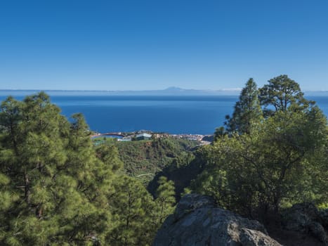 View on beautiful lush lanscape from hiking trail Barranco de la Madera with pine tree forest and sea on Santa Cruz de la Palma, blue sky. La Palma Island, Canary Islands, Spain.