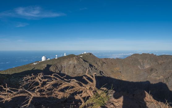Dry tree roots at highest peak of La Palma Roque De Los Muchachos with big telescopes of Observatory at Caldera De Taburiente, blue sky and sea in background. La Palma, Canary Islands, Spain.