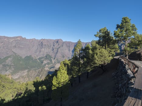 Volcanic landscape and lush pine tree forest, pinus canariensis view from Mirador de la Cumbrecita viewpoint at national park Caldera de Taburiente, volcanic crater in La Palma, Canary Islands, Spain.